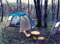 Новый Эко кемпинг на Чёрном море приглашает на отдых